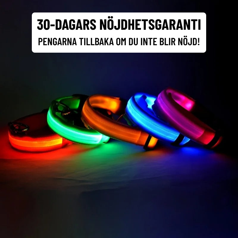 GLOWIE - LYSANDE HALSBAND FÖR PROMENADER UTAN ORO